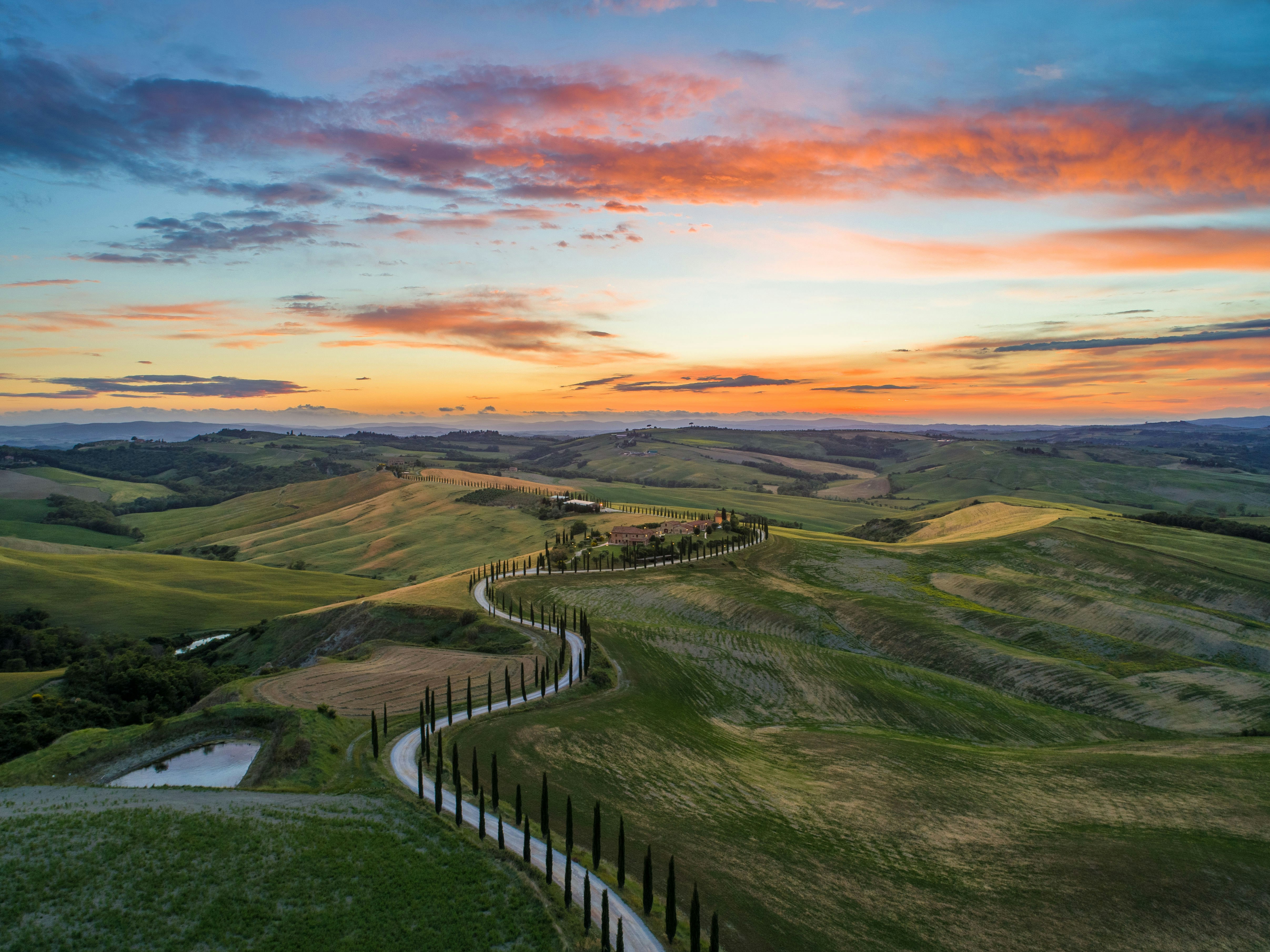 A cypress-lined road winding through the hills of Val d'Orcia, Tuscany, at sunset